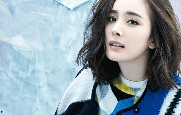 姓杨的男明星有哪些,盘点杨姓男明星的辉煌时刻